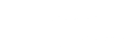 A white background with a few lines on it