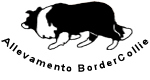 AMBULATORIO VETERINARIO CERCHIONE DR. PIERPAOLO - LOGO