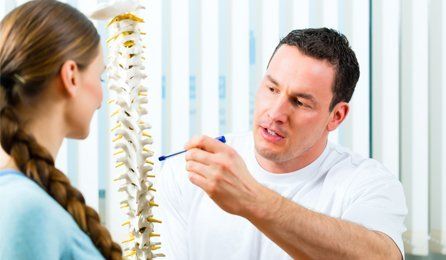 illustrating how a spine works