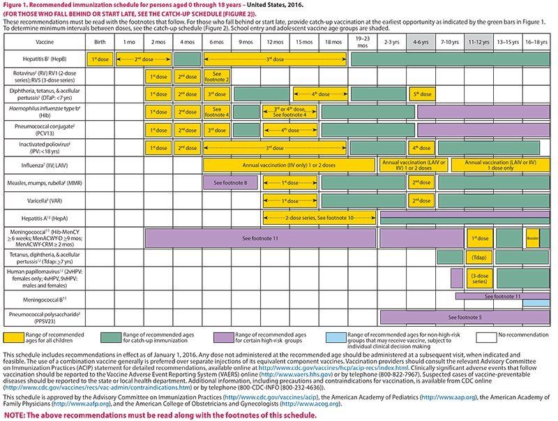 Immunization Schedule