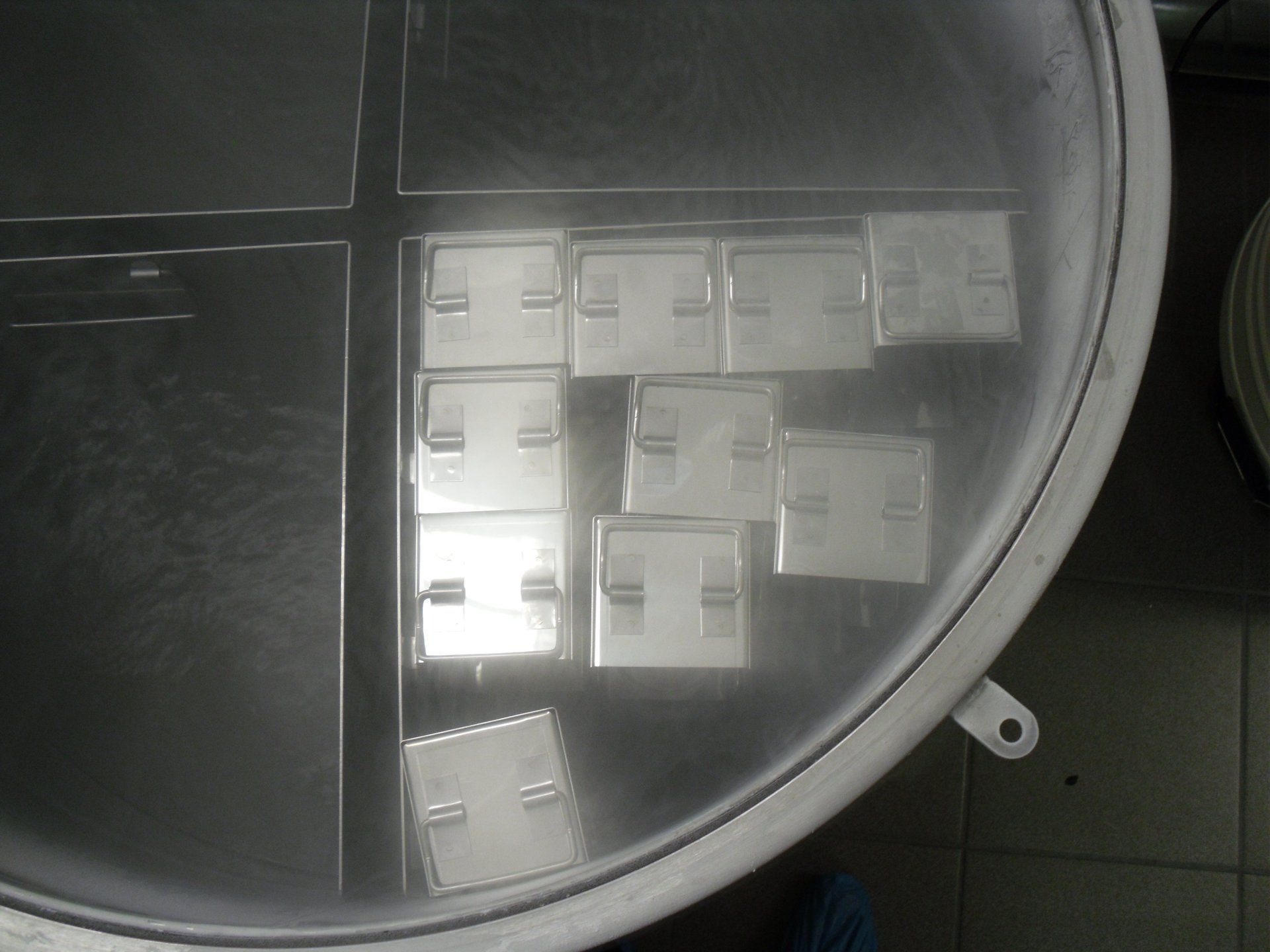 Cryopreserved samples