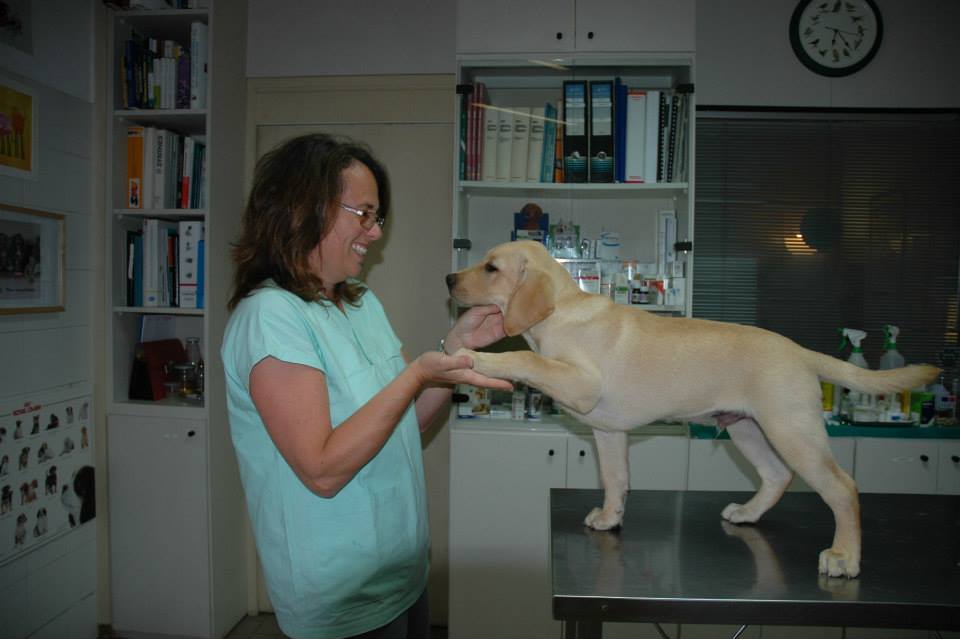 La dottoressa