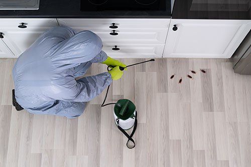 Pest control service in Manteno, IL Pest control service in Manteno, IL