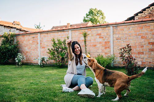 Girl Playing With Her Dog — Bradley, IL — Bisaillon’s Rid All Termite & Pest Solutions Girl Playing With Her Dog — Bradley, IL — Bisaillon’s Rid All Termite & Pest Solutions