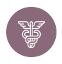 icono medicina