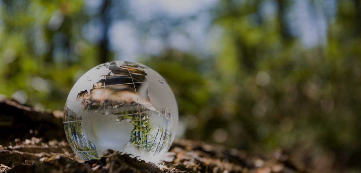 Evolue - Pós-Graduação em Direito Ambiental