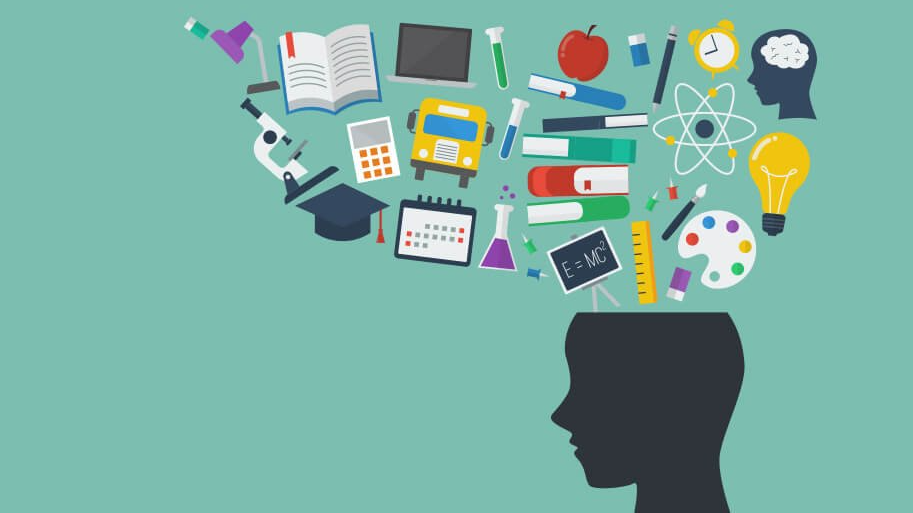 Evolue - Pós-Graduação em Educação Infantil, Neurociência e Aprendizagem