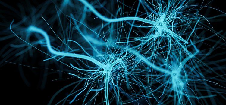 Neurocirurgião no Rio de Janeiro Neurocirurgião na Barra