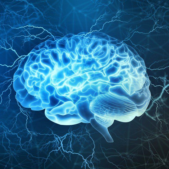 Neurocirurgião em Nova Friburgo