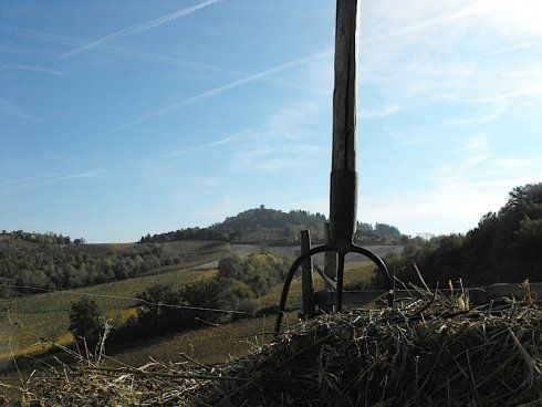 Vista dei vigneti e le colline dalla casa