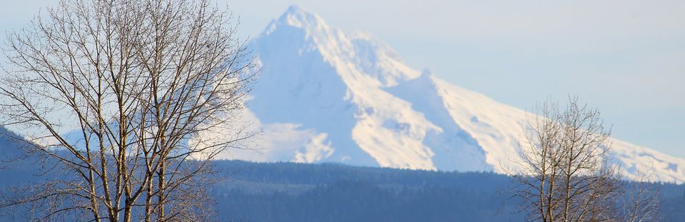 mt hood