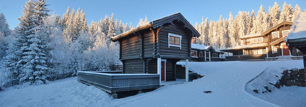 SKI INN - SKI UT! 200 METER TIL HEIS OG LØYPER Vesleskogen stor hytte 40 senger - Sjumilskogen booking Trysil