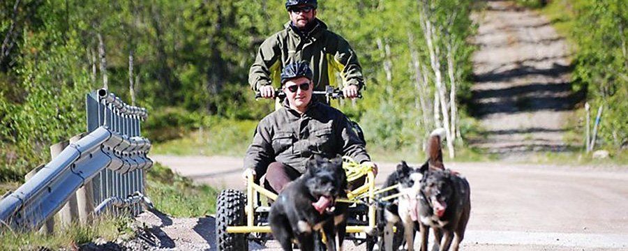 Hunder - Sjumilskogen booking Trysil