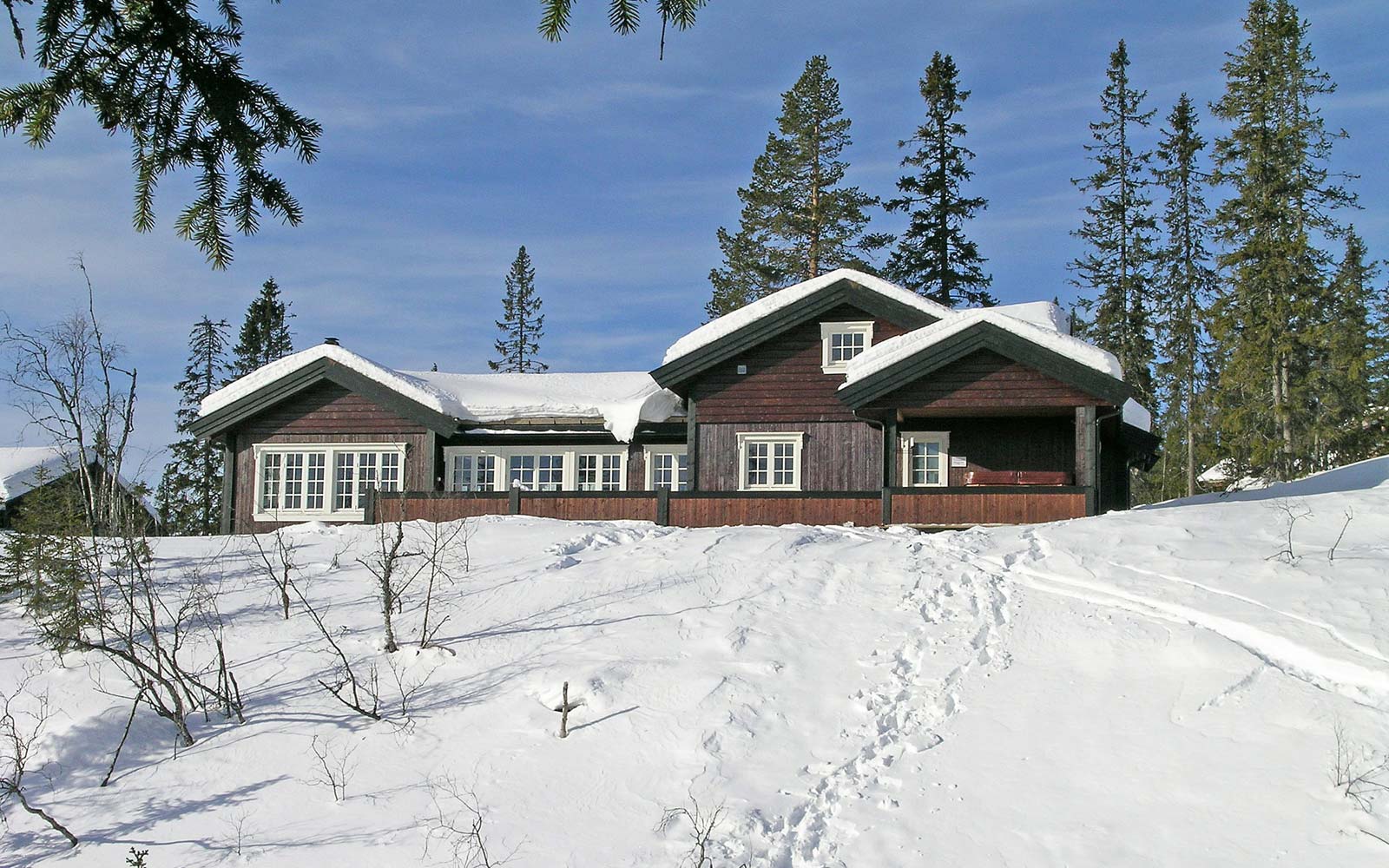 Hytte 830 2 - Sjumilskogen booking Trysil