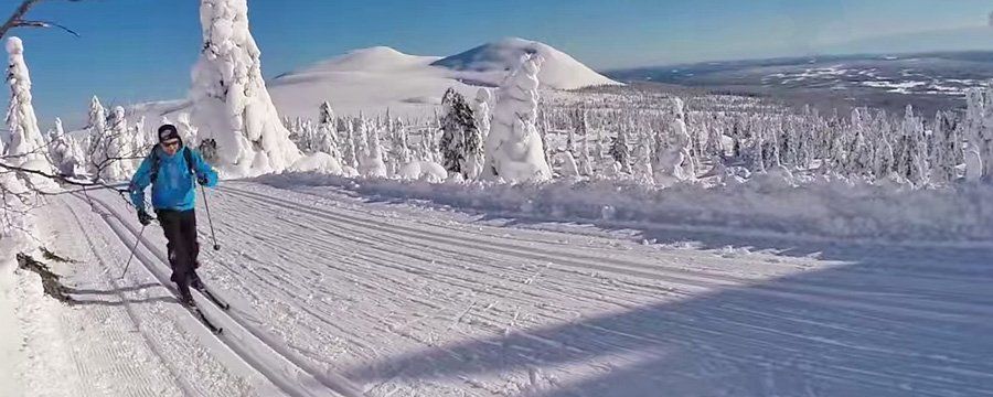 Langrenn - Aktiviteter Sjumilskogen booking Trysil