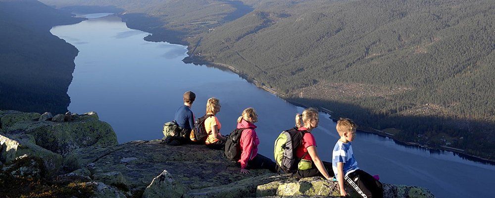Toppturer - Sjumilskogen booking Trysil