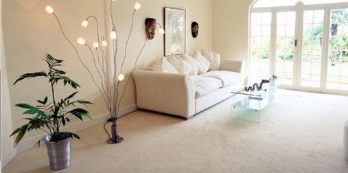 powakleen carpet cleaning comfortable living room powakleen carpet cleaning comfortable living room