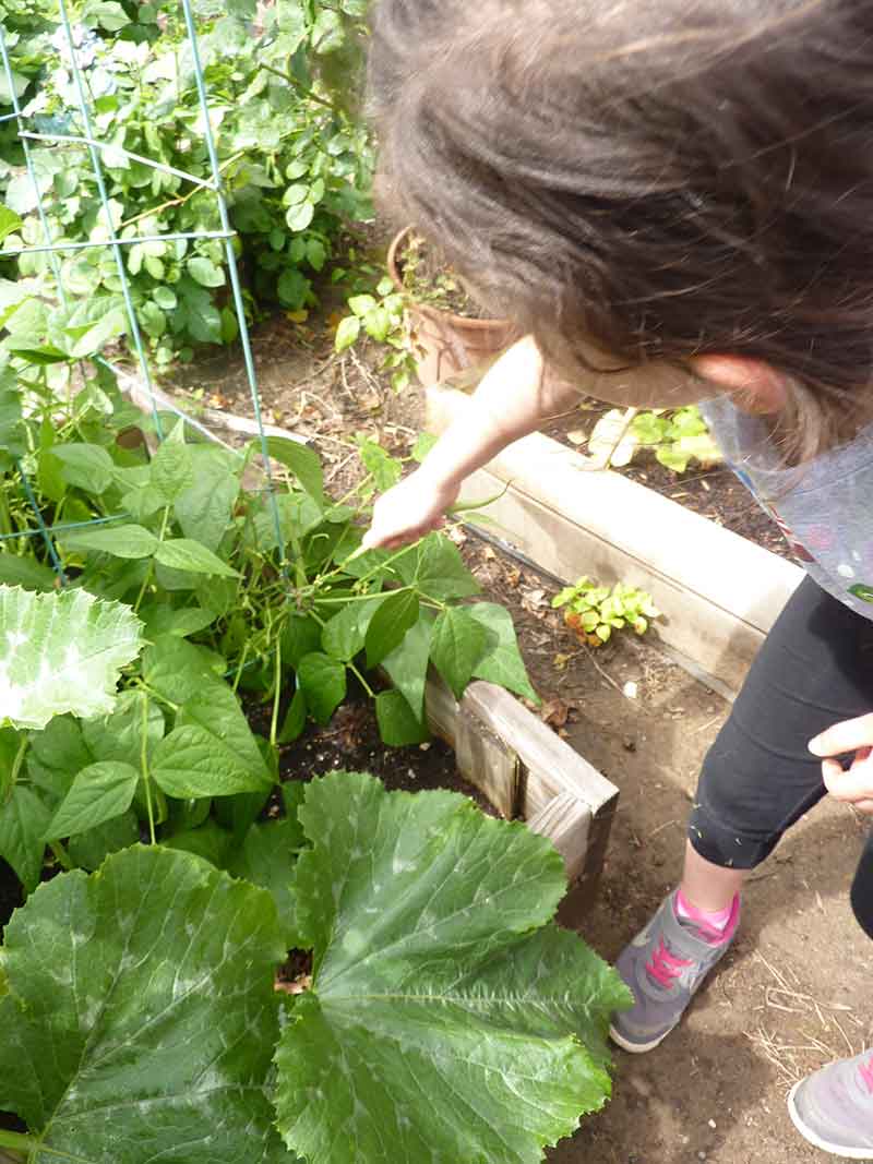 Kids Garden - Preschool in Beaverton, OR