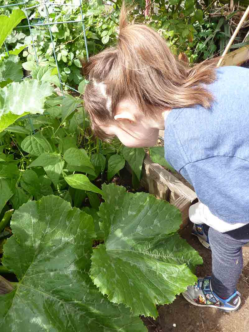 Plant Observations by Kids - Preschool in Beaverton, OR