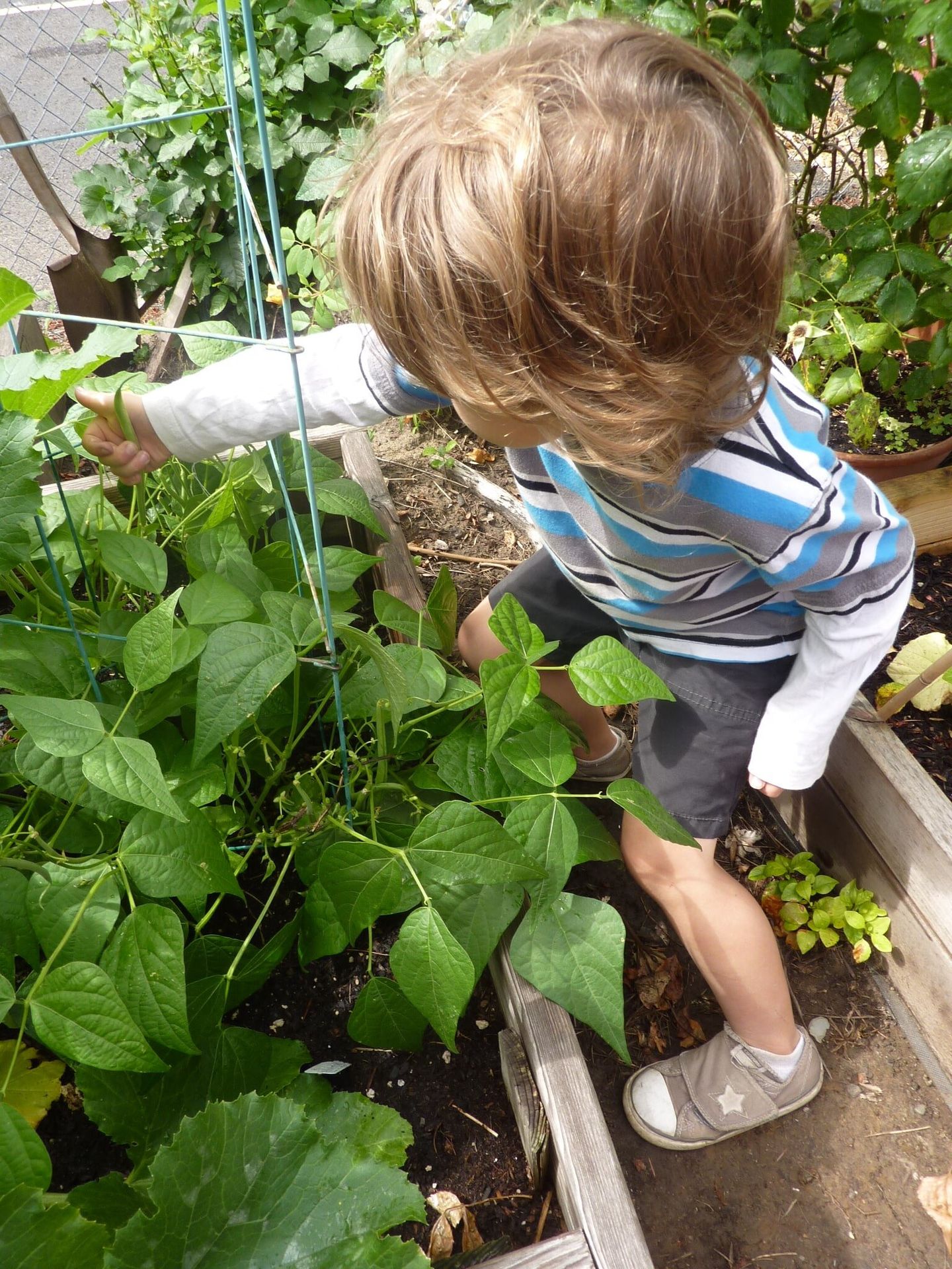 Kids Garden - Preschool in Beaverton, OR