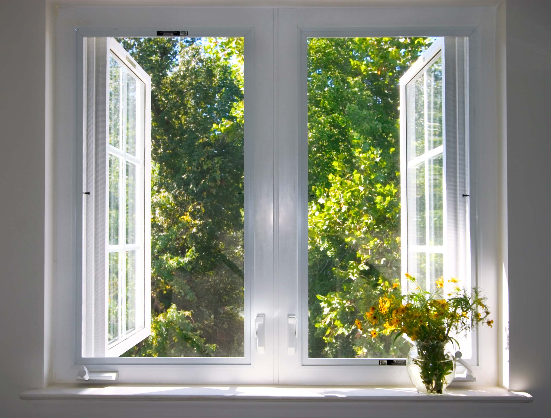 Picture Window | Los Angeles, CA | J & A Windows Inc. Picture Window | Los Angeles, CA | J & A Windows Inc.