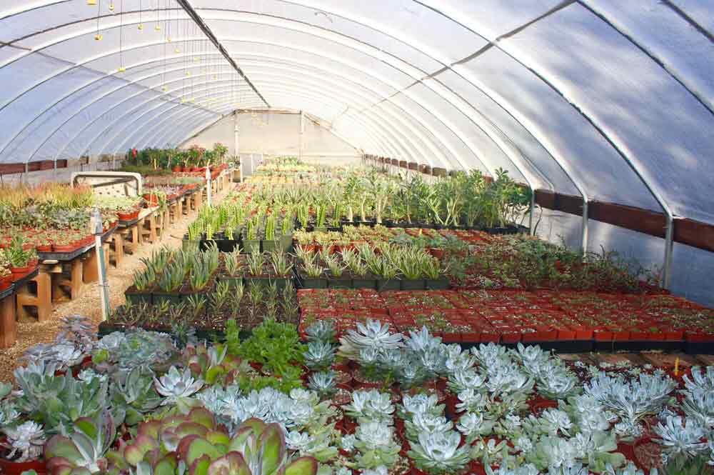 Greenhouse — Tucson in Tucson,AZ Greenhouse — Tucson in Tucson,AZ