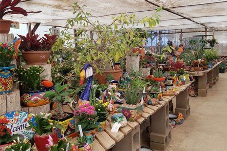 Plants With Figurines — Tucson in Tucson,AZ Plants With Figurines — Tucson in Tucson,AZ