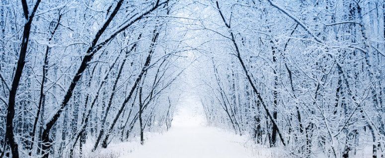 Winter Temperature
