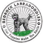 Bedrock Labradoodles Logo Navbar Image