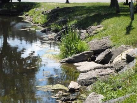 Image of a stream next to a hill