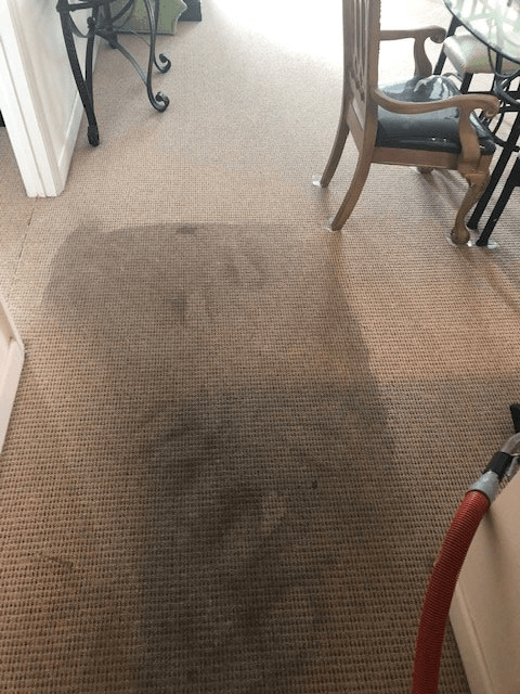 A dirty carpet in a living room with chairs and a table.