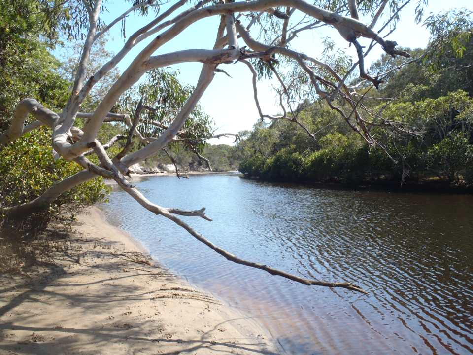 view of a lake from the coast