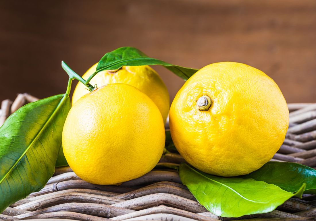 limoni freschi appena raccolti