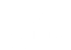 excelsior logo