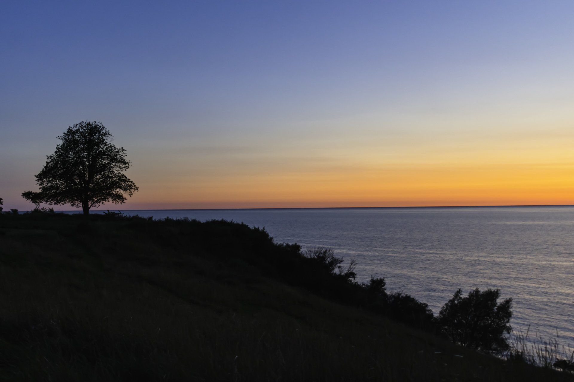 Tree silhouette on a hill overlooking water at sunset; orange and blue sky.
