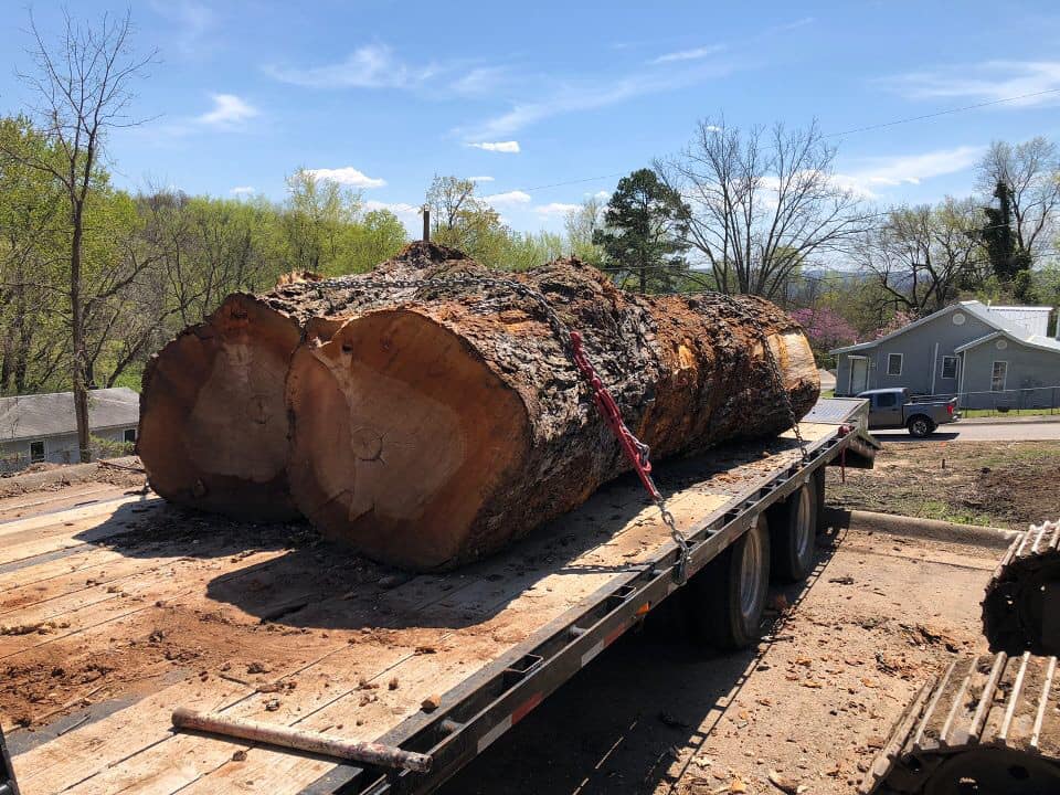 tree log hauling