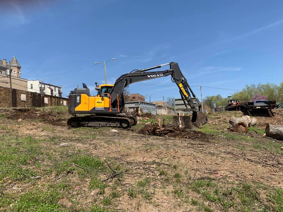 tree stump digging