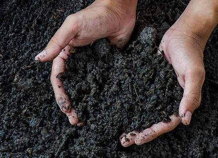 topsoil supplies store garden supplies centre