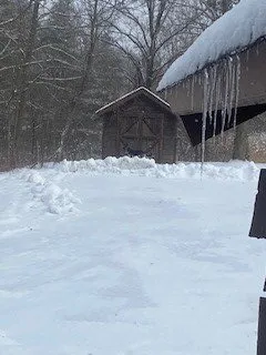 cabin 4