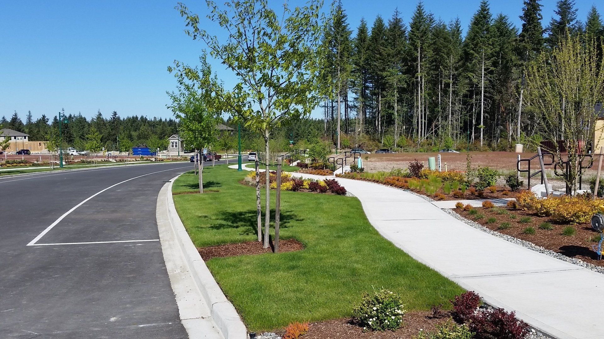 Landscaping, — Empty Pavement Orchard, WA