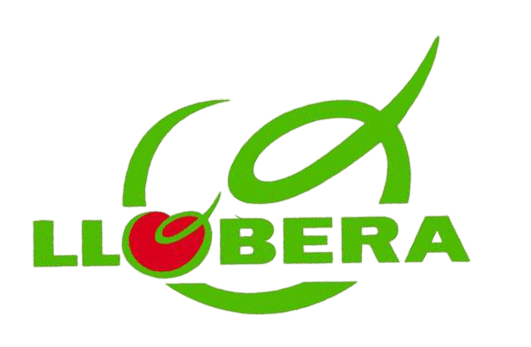 frutasllobera frutas llobera