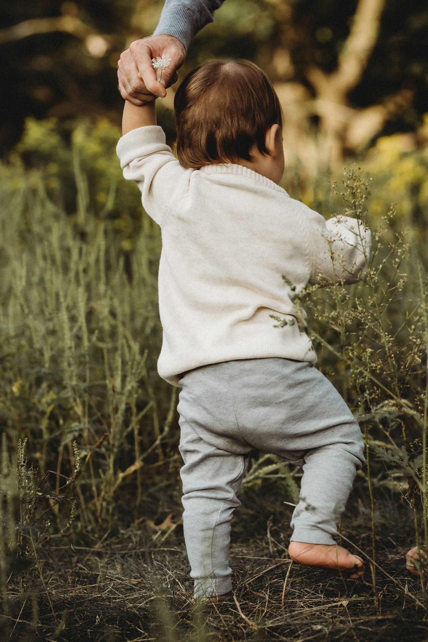 Photo of toddler walking away from camera for fall photoshoot