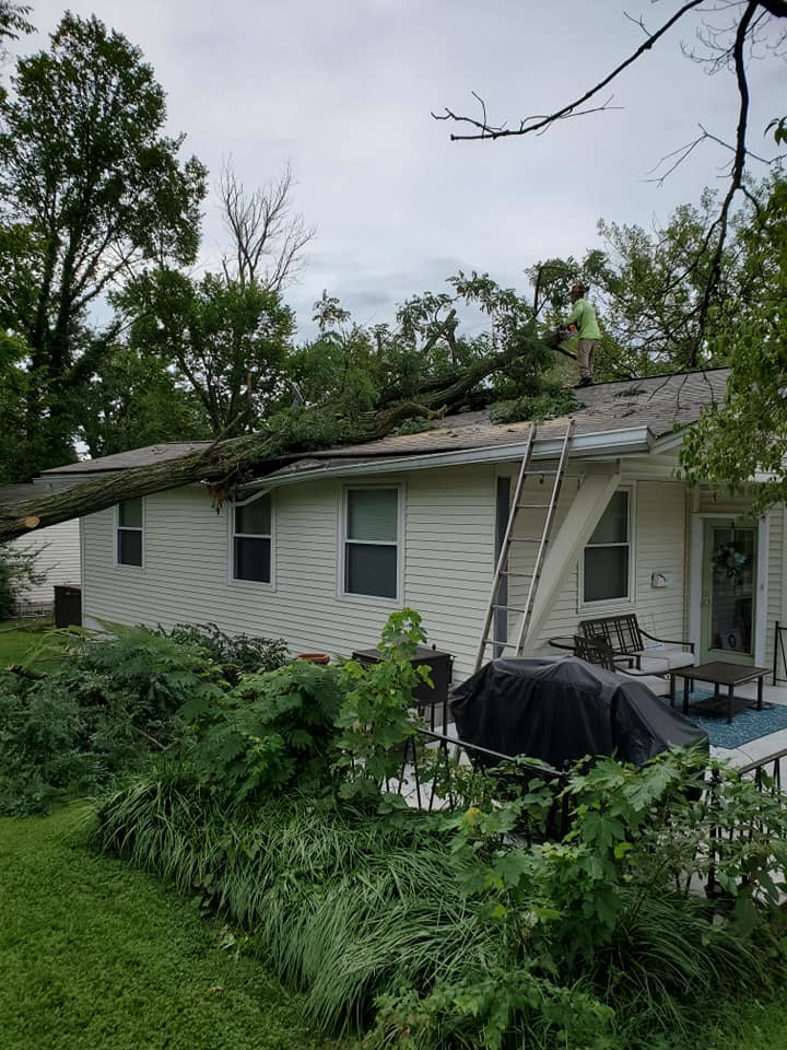 St Louis emergency tree services