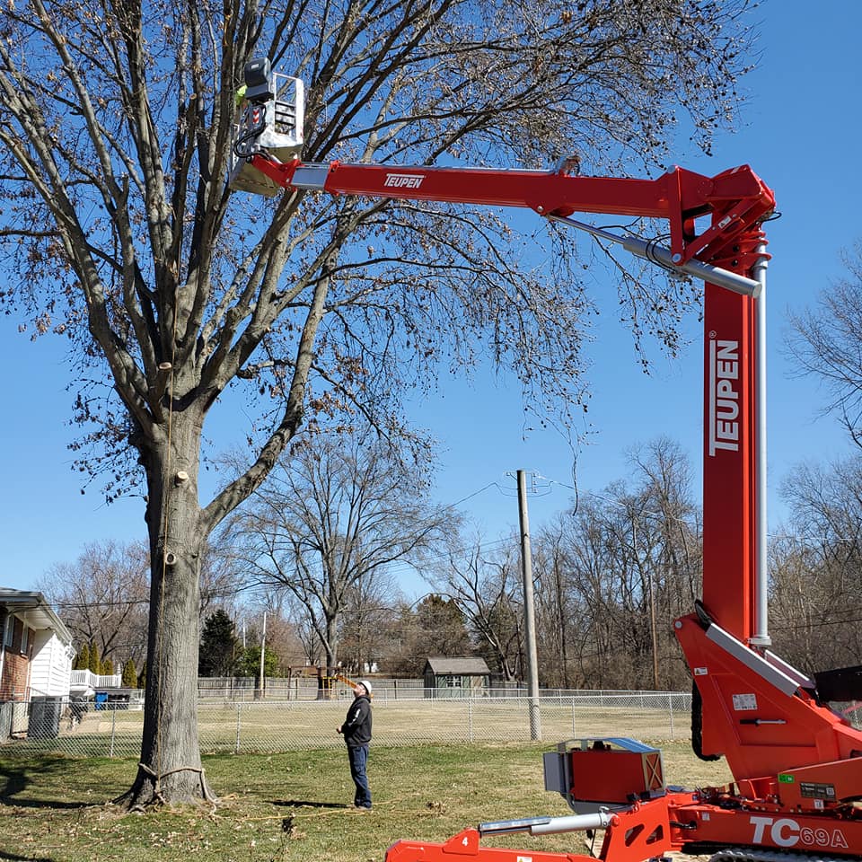 St Louis Tree Trimming