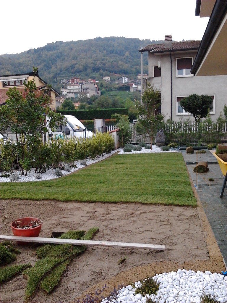 posa manto erboso
