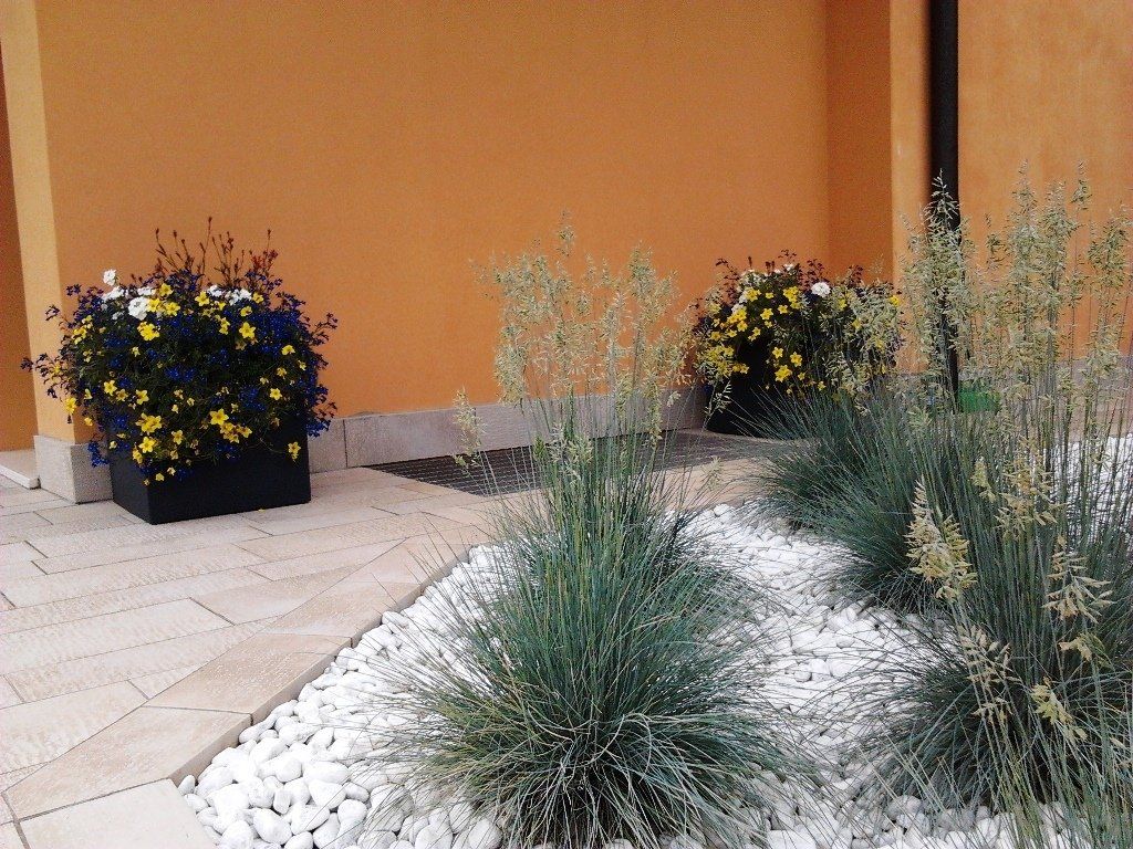 piante in giardino