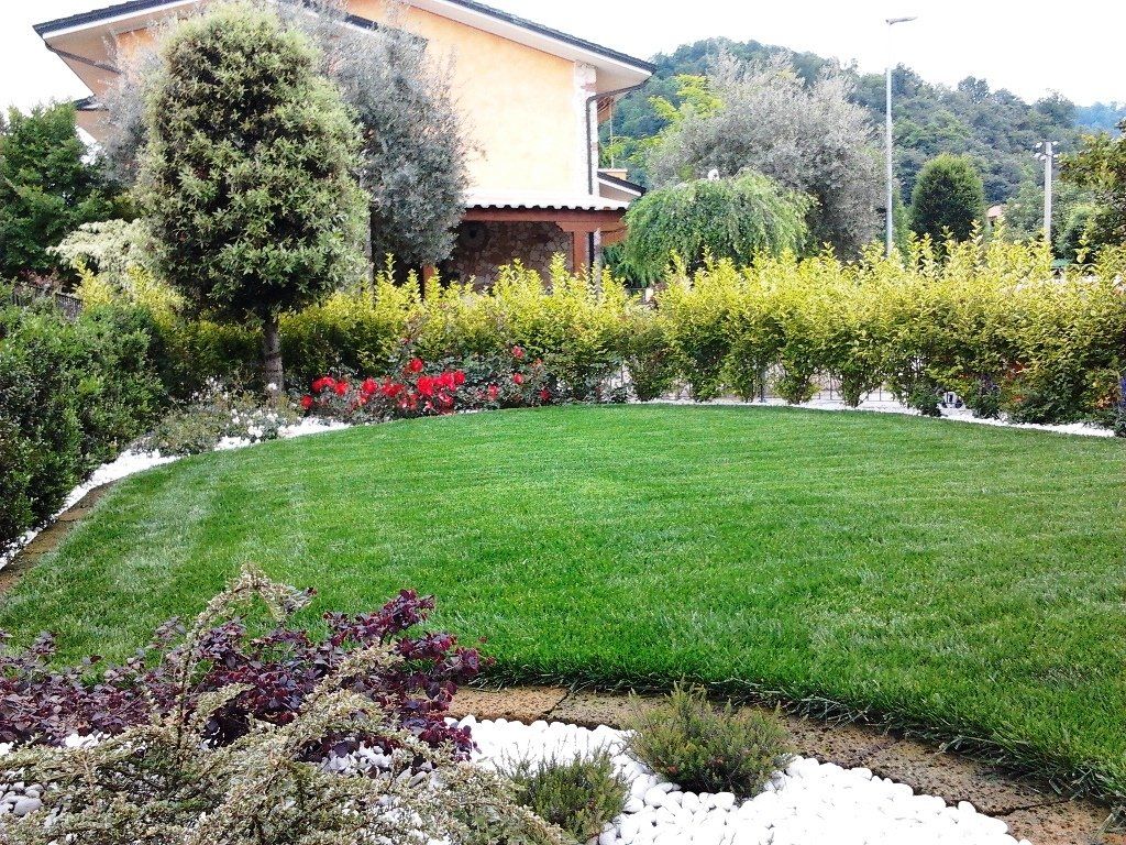 giardino abitazione con tappeto erboso