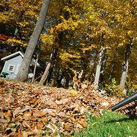 Garden clearing and recycling