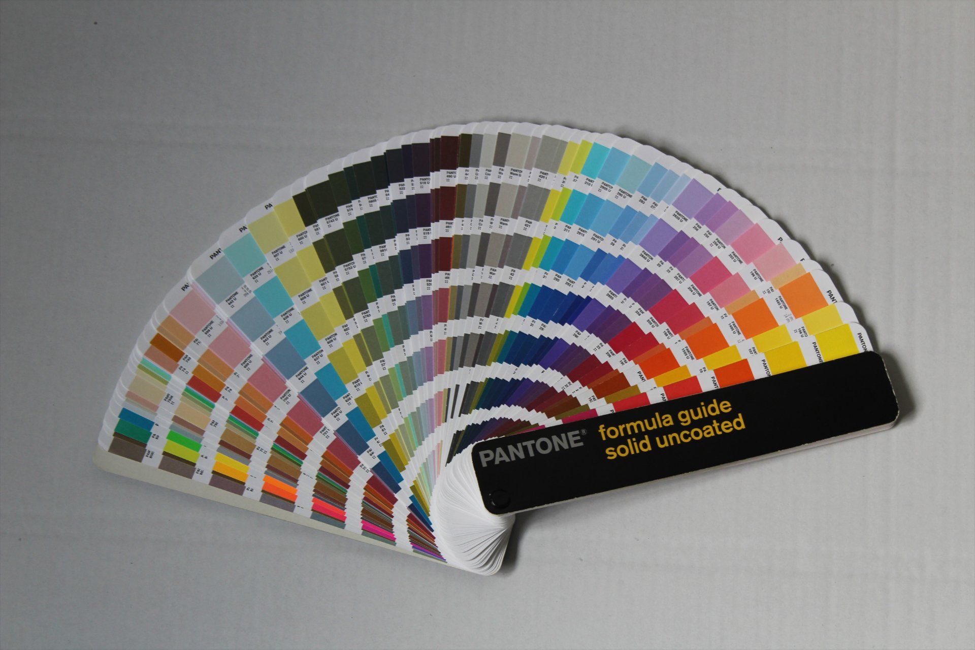 campione di colori