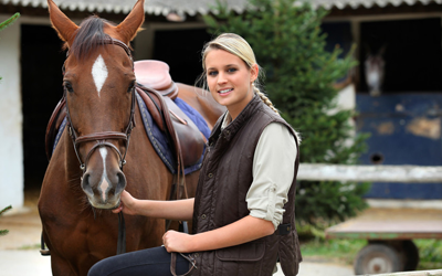 Dressage training